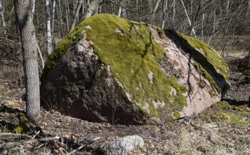 Bulėnų I akmuo.jpg